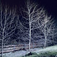 Первый снег :: М С