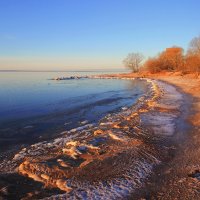 *** :: Сергей Григорьев *** :: Сергей Григорьев