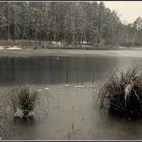 *** :: Aleksandr Gal *** :: Aleksandr Gal