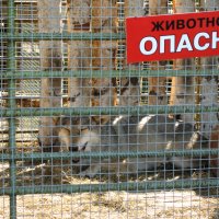 Очень опасно! :: Дмитрий П