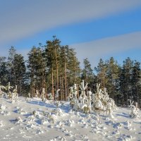 Долгожданный снег :: Наталья Димова