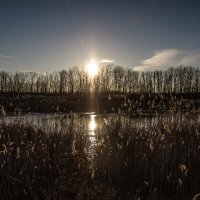 Утро. :: Александр. AVG100 ---