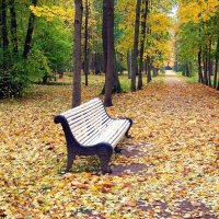 Осень золотая. :: Лия ☼