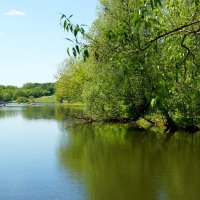 Шибаевский пруд :: Игорь Белоногов Шибаевский пруд :: Игорь Белоногов