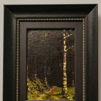 Стволы берёз :: Ирина Соловьёва Стволы берёз :: Ирина Соловьёва