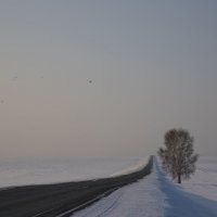 Вдаль... :: Андрей Пристяжнюк Вдаль... :: Андрей Пристяжнюк