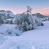 winter view :: Elena Wymann winter view :: Elena Wymann