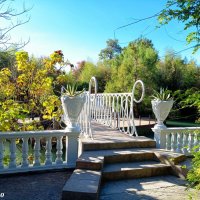 Адлер. Дендропарк "Южные культуры" :: Нина Бутко