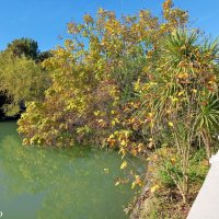 Адлер. Дендропарк "Южные культуры" :: Нина Бутко Адлер. Дендропарк "Южные культуры" :: Нина Бутко