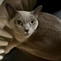 зима, однако... :: Сергей Б. зима, однако... :: Сергей Б.