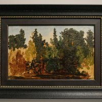 Лес :: Ирина Соловьёва