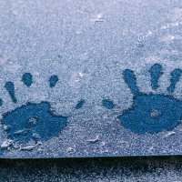 Каждое преступление оставляет свой след. :: Анатолий. Chesnavik.