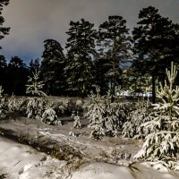 МОЙ ДЕКАБРЬ :: HART BAD