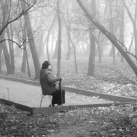 Туманные воспоминания. :: Борис Бутцев