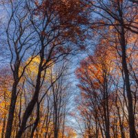 ОСЕНЬ ДЕМЕРДЖИ :: Sergey Bagach