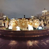 Неожиданное новогоднее украшение :: Александр Чеботарь Неожиданное новогоднее украшение :: Александр Чеботарь