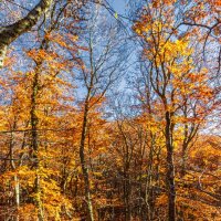 ОСЕНЬ ДЕМЕРДЖИ :: Sergey Bagach