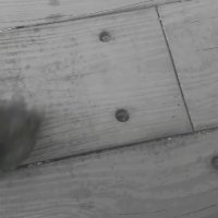 114 (207) :: CLOSE WAYS ALL