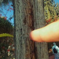 13 ОПЕН (740) :: OPEN WAYS ALL 13 ОПЕН (740) :: OPEN WAYS ALL