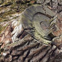 раны :: Олег Лукьянов