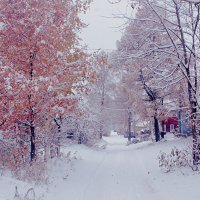 Зимние улицы города :: Сергей Кочнев Зимние улицы города :: Сергей Кочнев