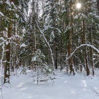 Зимний пейзаж :: Владимир Лазарев Зимний пейзаж :: Владимир Лазарев