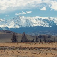 Весенние пейзажи горного Алтая :: елена беликова Весенние пейзажи горного Алтая :: елена беликова