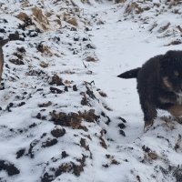 . :: Сергей Асташонок