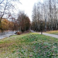 Зелёная трава вместо снега. :: Милешкин Владимир Алексеевич Зелёная трава вместо снега. :: Милешкин Владимир Алексеевич