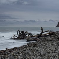 Море. :: Александр. AVG100 ---