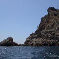 Природа Крыма :: Amazing Cosmea Природа Крыма :: Amazing Cosmea