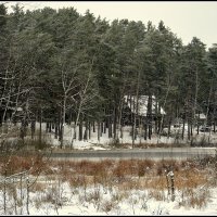 *** :: Aleksandr Gal