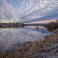 **** :: Елизавета .