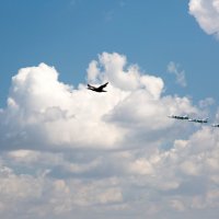 Ведущий! Летим за мной!) :: Светлана Тихонина Ведущий! Летим за мной!) :: Светлана Тихонина