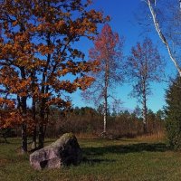 Осeнние штрихи .. :: Татьян@ Ивановна Осeнние штрихи .. :: Татьян@ Ивановна