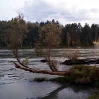 На берегу Катуни . Вечер . :: Мила Бовкун