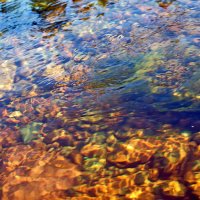 Вода и под водой. :: ВикТор Быстров Вода и под водой. :: ВикТор Быстров