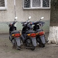 мы тут временные :: Николай Семёнов