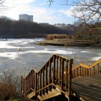 Тонкая корочка льда на пруду :: Татьяна Смоляниченко