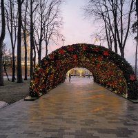 Парк Речного вокзала бесснежной зимой 2025 г. :: Евгений Седов