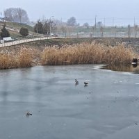 Ростовские зарисовки :: Александр Гапоненко Ростовские зарисовки :: Александр Гапоненко