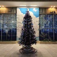 Свет ёлки новогодней :: Дмитрий Никитин Свет ёлки новогодней :: Дмитрий Никитин