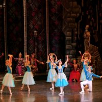 Сцена из балета "Лебединое озеро" :: Валерий Судачок Сцена из балета "Лебединое озеро" :: Валерий Судачок