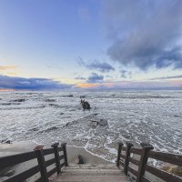 Зеленоградск :: Николай 