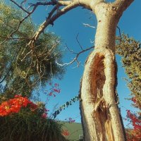 13  ОПЕН (741) :: OPEN WAYS ALL