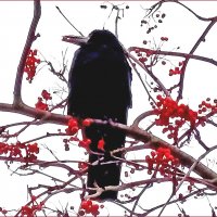 Вкусная ягода! :: Валентина  Нефёдова 