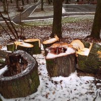 окончен век... :: Любовь окончен век... :: Любовь