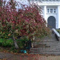 Осенние яблочки у колокольни Рождество-Богородицкого монастыря :: Татьяна Машошина