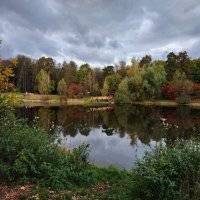 Один день в октябре-2023 в Лосином острове :: Андрей Лукьянов