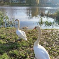 Мы с Тамарой ходим парой! :: Людмила Жданова